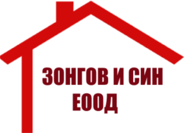 ЗОНГОВ И СИН - лого